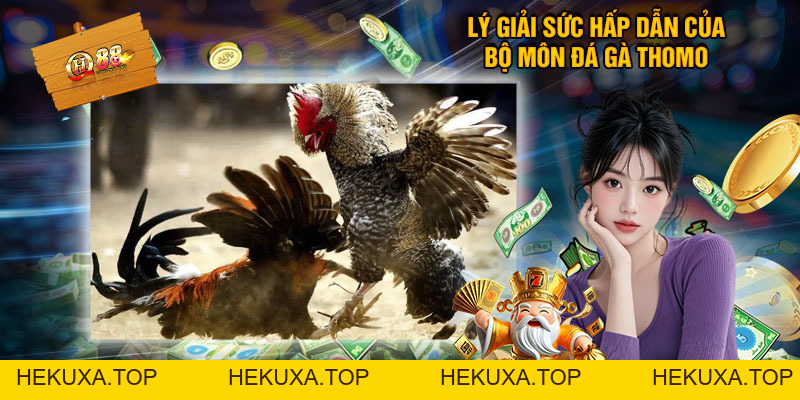 Đá Gà Thomo - Trực Tiếp Siêu CUP Live Có Bình Luận Viên - hekuxa.top
