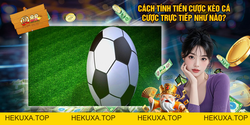 Hướng Dẫn Chơi Kèo Cá Cược Trực Tiếp Thể Thao QH88 - hekuxa.top