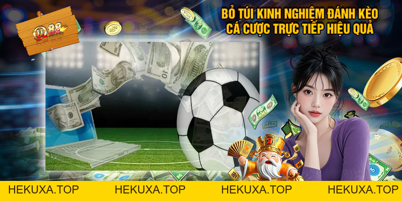 Thể Thao QH88 - Sảnh Cược Trực Tuyến Siêu Hot Tại Nhà Cái - hekuxa.top