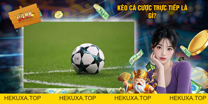 Hướng Dẫn Chơi Kèo Cá Cược Trực Tiếp Thể Thao QH88 - hekuxa.top