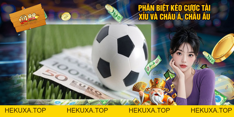 Kèo Tài Xỉu Là Gì? Những Thông Tin Thú Vị Về Kèo Bóng Đá Này - hekuxa.top
