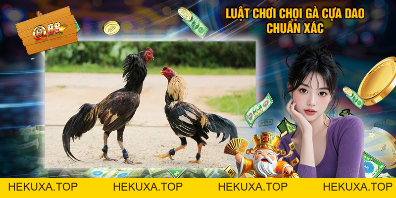 Đá Gà Cựa Dao Qh88 - Tổng Hợp Thông Tin Thú Vị Cần Biết - hekuxa.top