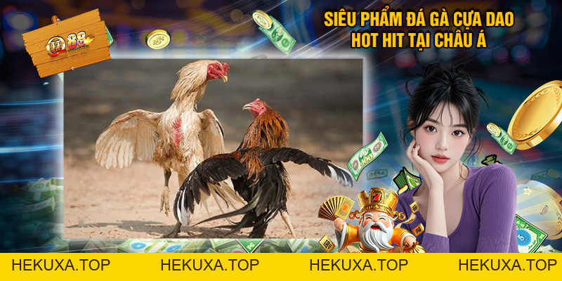 Đá Gà Cựa Dao Qh88 - Tổng Hợp Thông Tin Thú Vị Cần Biết - hekuxa.top