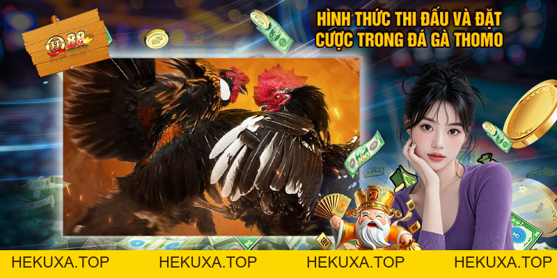 QH88 – Link QH88 Đăng Nhập / Tải App QH888 Tặng 888k - hekuxa.top