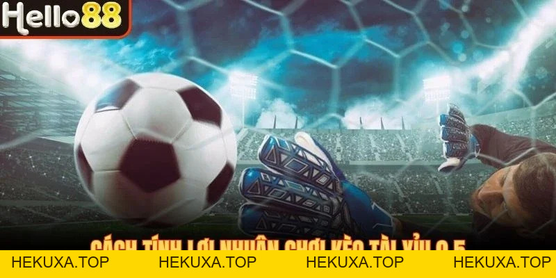 Kèo Tài Xỉu 0.5 - Thể Loại Cá Cược Bóng Đá Lợi Nhuận Tốt - hekuxa.top