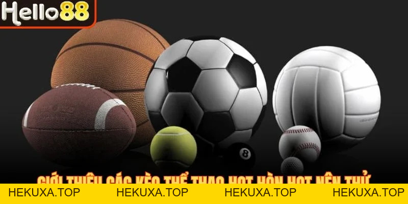Thể Thao Hello88 - Sân Cược Đẳng Cấp Cho Mọi Tín Đồ 2026 - hekuxa.top