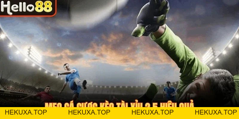 Kèo Tài Xỉu 2.5 - Hình Thức Cá Cược Bàn Thắng Hấp Dẫn - hekuxa.top